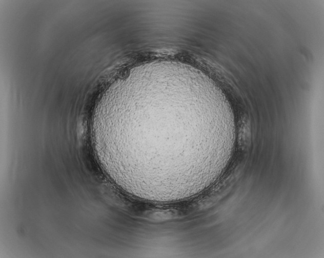 X0000112910608200909141252