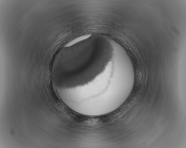 X0000112910609200909141252