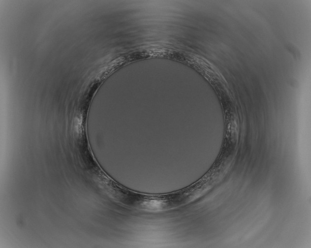 X0000112910610200909141252