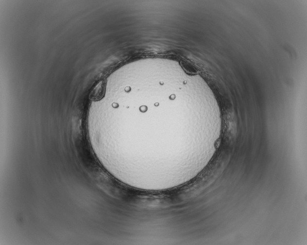 X0000112910615200909141252