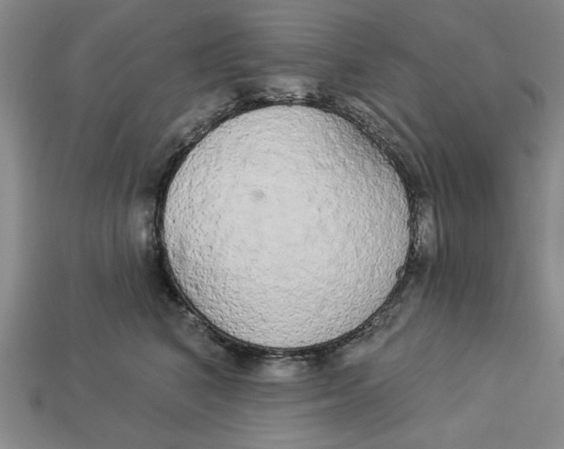 X0000112910616200909141252