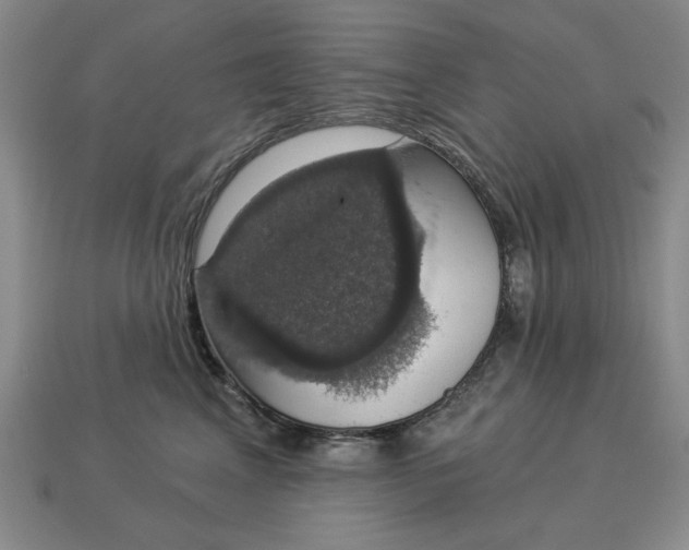 X0000112910617200909141252