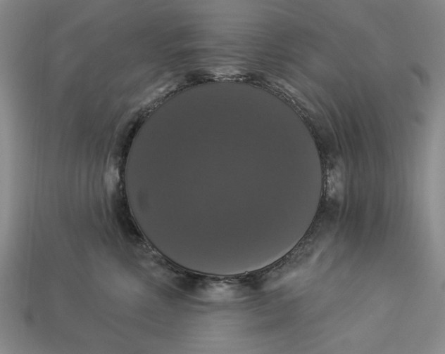 X0000112910618200909141252