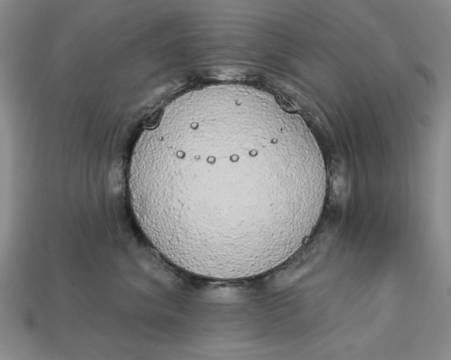 X0000112910620200909141252