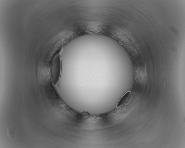 X0000112910621200909141252