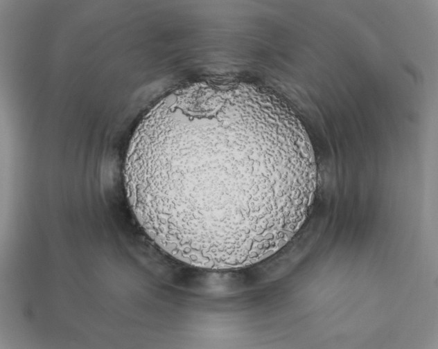 X0000112910623200909141252