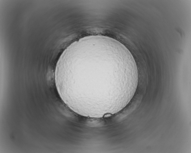 X0000112910624200909141252