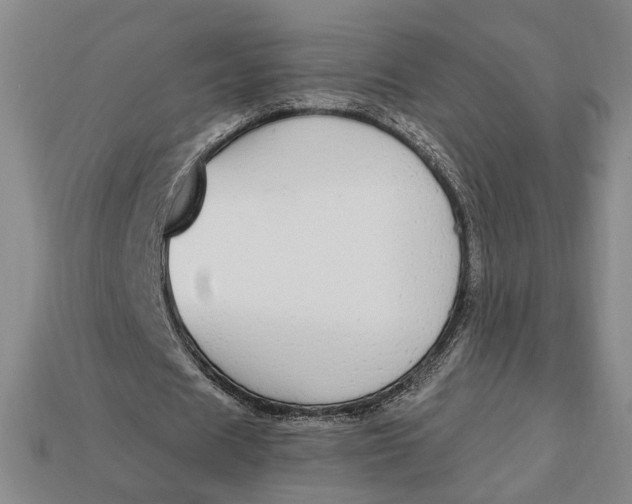 X0000112910625200909141251