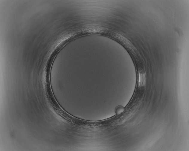 X0000112910627200909141251