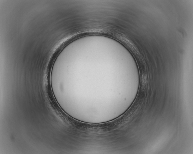 X0000112910628200909141251