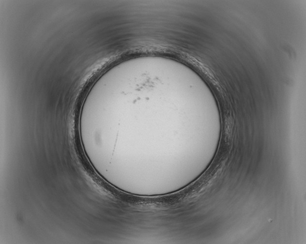 X0000112910629200909141251