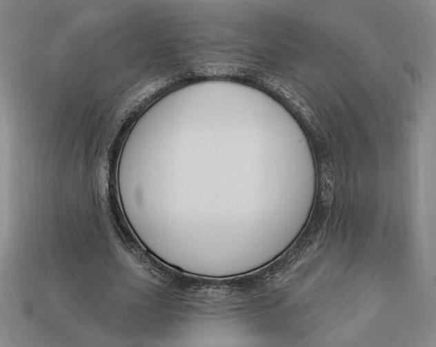 X0000112910631200909141252