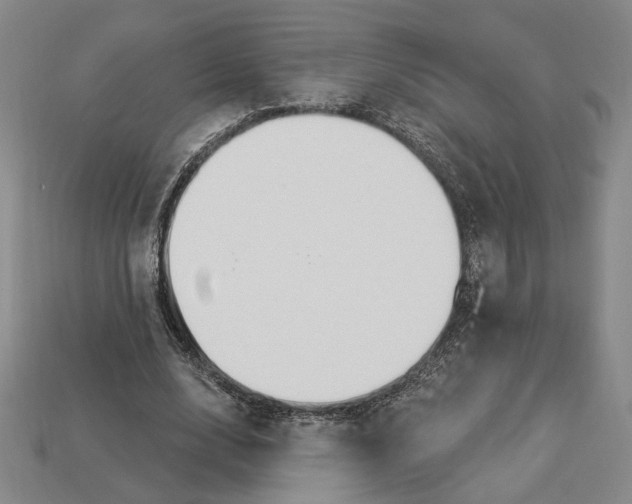 X0000112910632200909141252