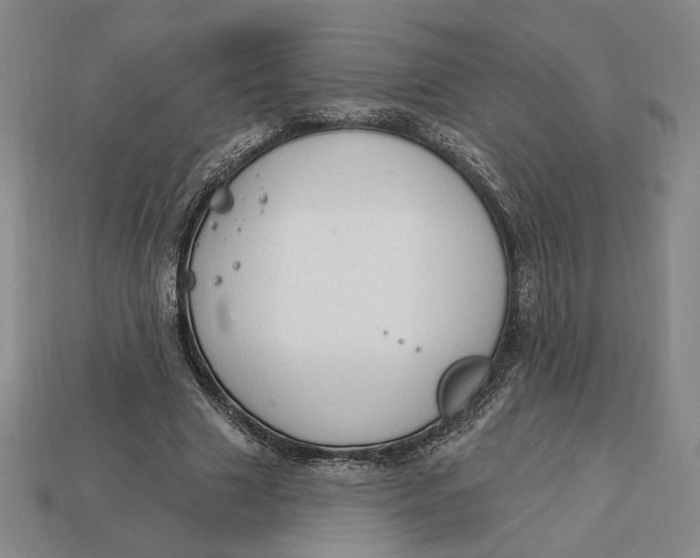 X0000112910633200909141252