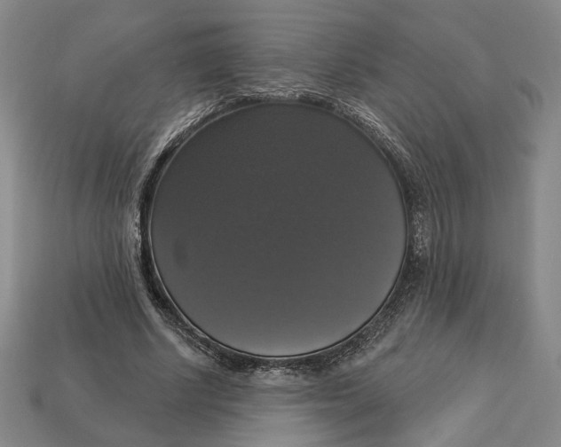 X0000112910634200909141252