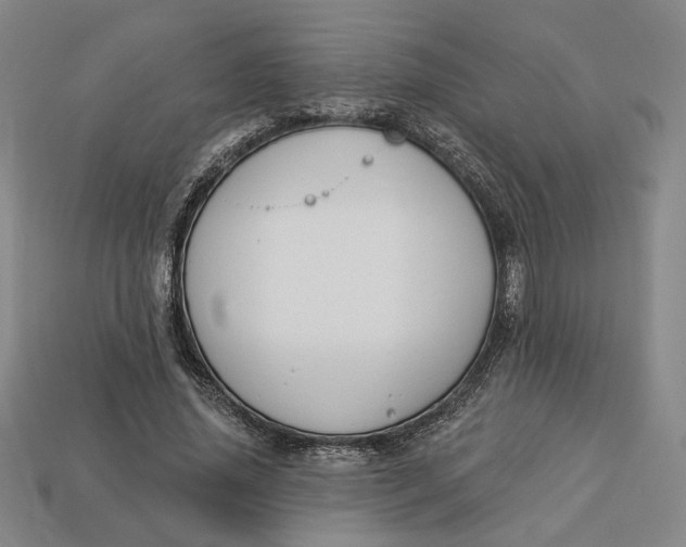 X0000112910636200909141252