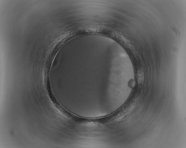 X0000112910637200909141252