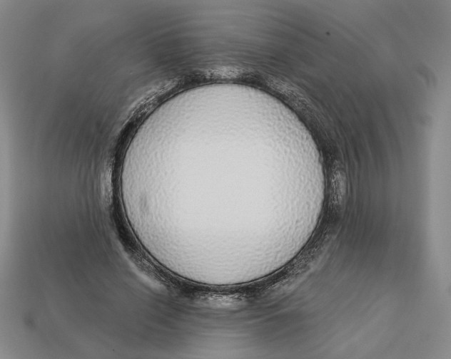 X0000112910638200909141252