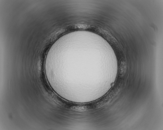 X0000112910639200909141252