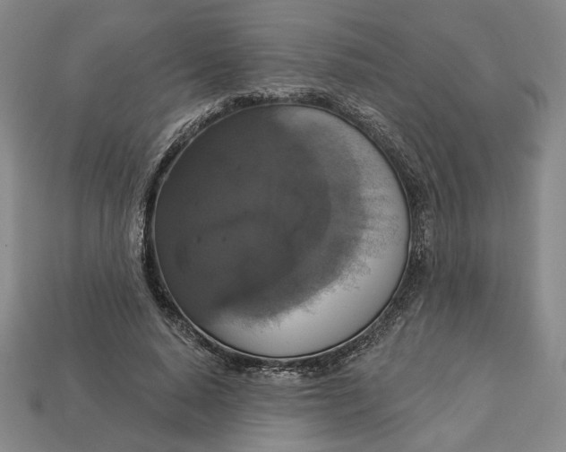 X0000112910640200909141252