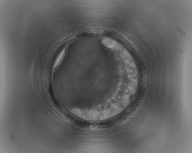 X0000112910641200909141252