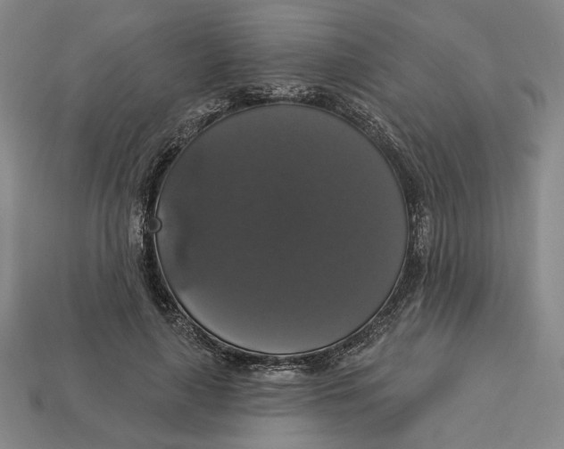 X0000112910643200909141252