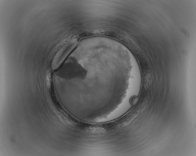 X0000112910644200909141252