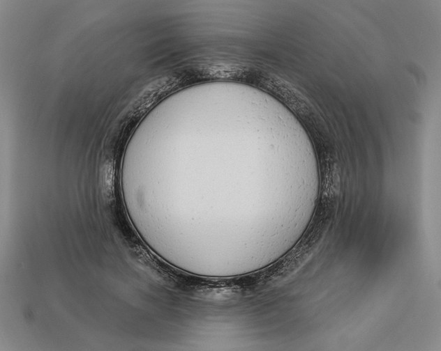 X0000112910646200909141252