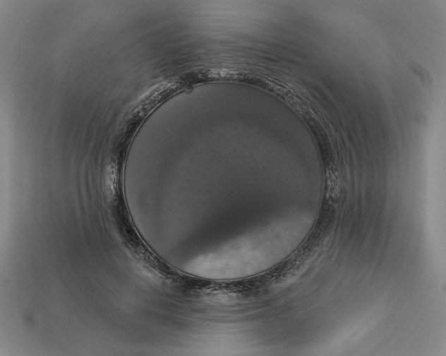 X0000112910648200909141252