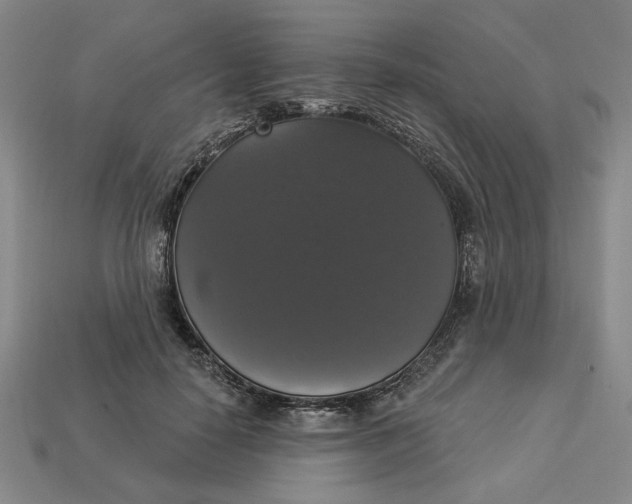 X0000112910650200909141252