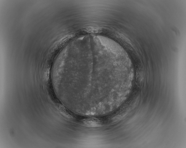 X0000112910652200909141252