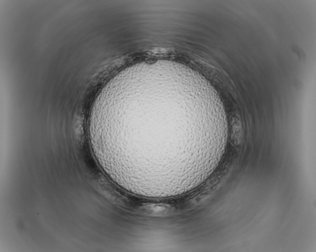 X0000112910654200909141252