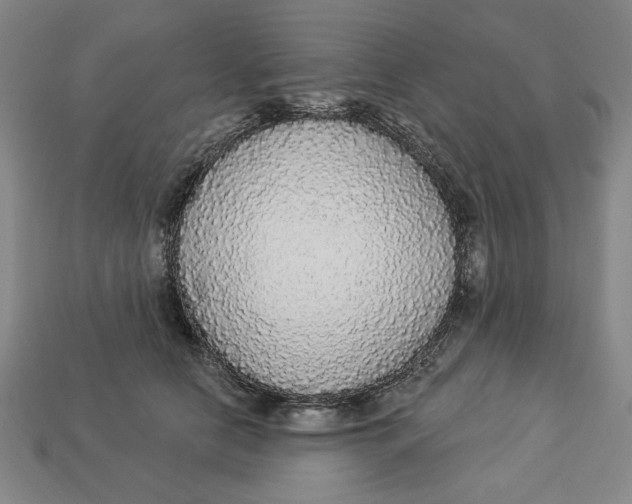 X0000112910658200909141252