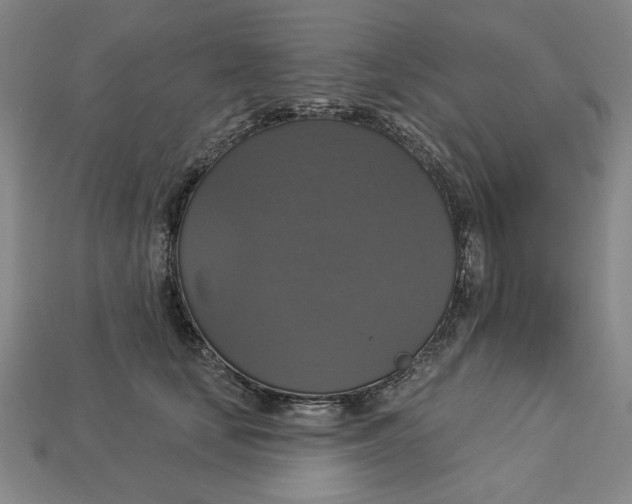 X0000112910659200909141252