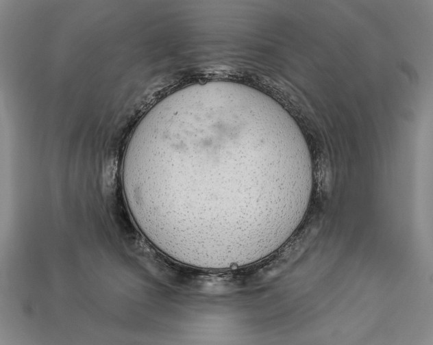 X0000112910660200909141252