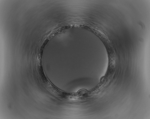 X0000112910661200909141252