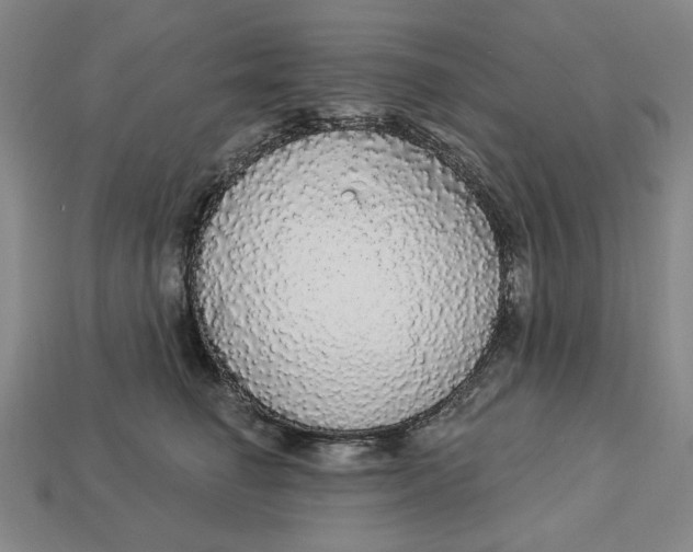 X0000112910662200909141252