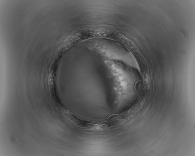 X0000112910663200909141252