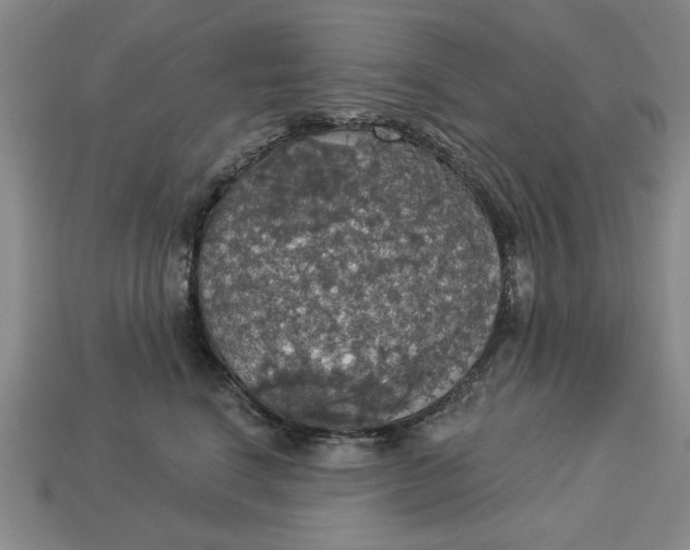 X0000112910664200909141252