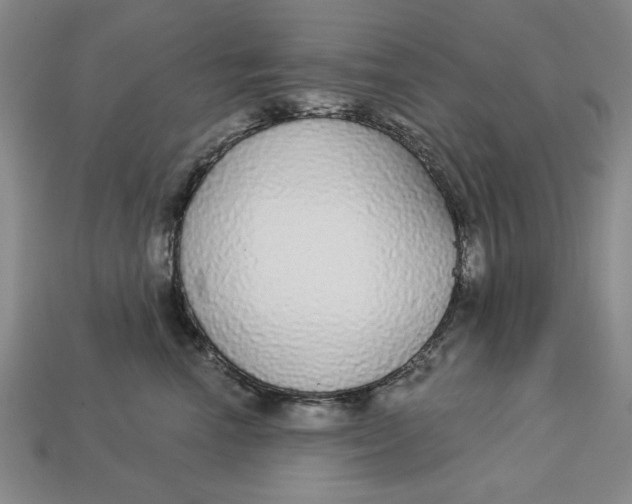 X0000112910666200909141252