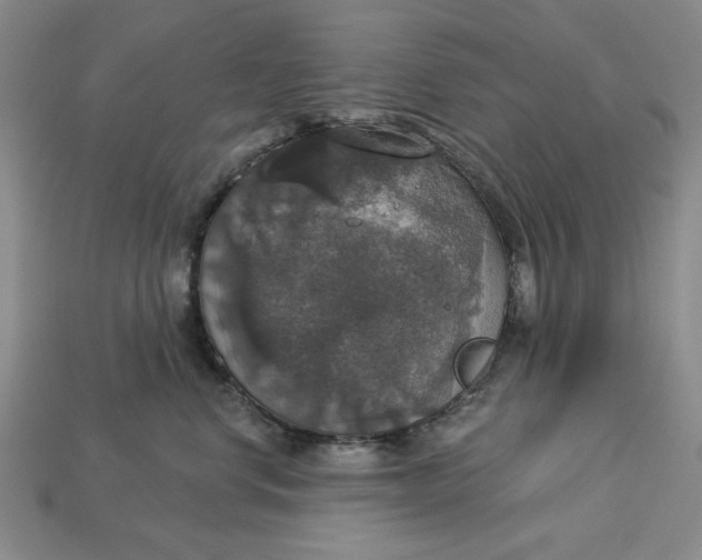 X0000112910668200909141252