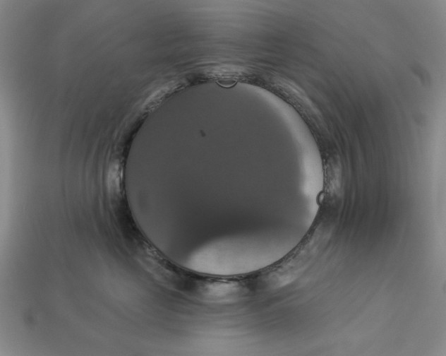 X0000112910669200909141252