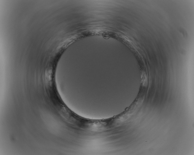 X0000112910670200909141252