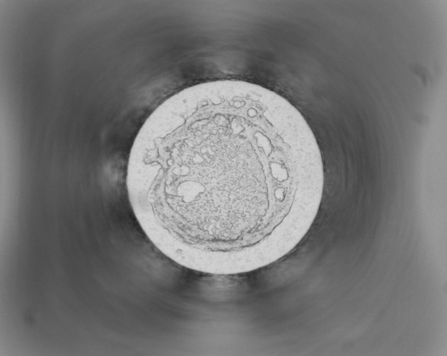 X0000112910672200909141252