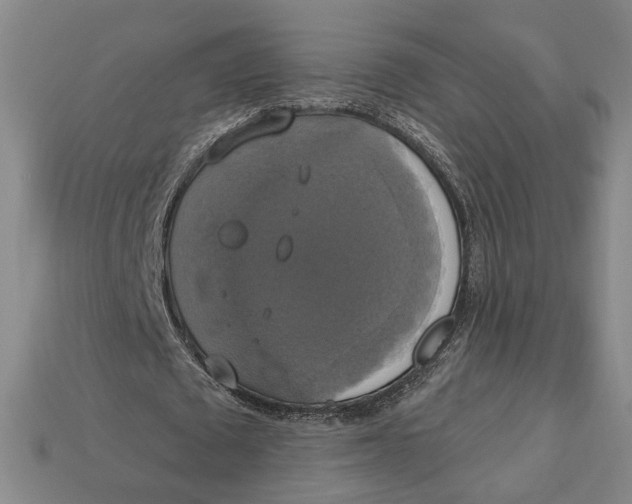 X0000112910673200909141251