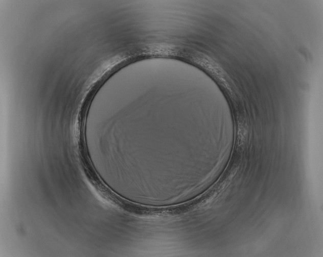 X0000112910674200909141251