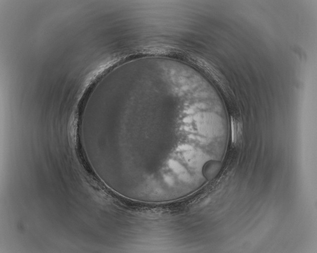 X0000112910675200909141251