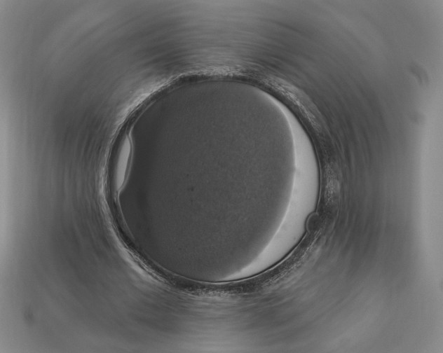 X0000112910677200909141251