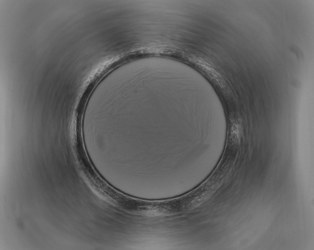 X0000112910678200909141251