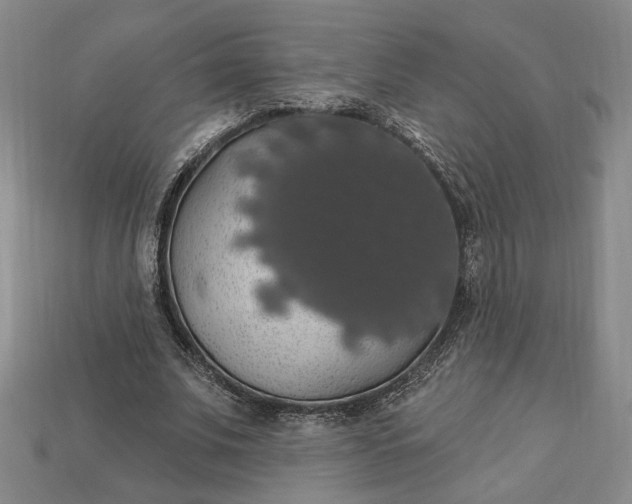 X0000112910679200909141251